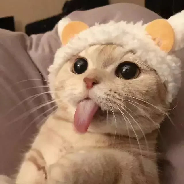 JUGUETE COLIBRI VOLADOR PARA GATOS