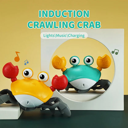 CANGREJO INTERACTIVO