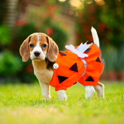 DISFRAZ PARA MASCOTAS PICAPIEDRA