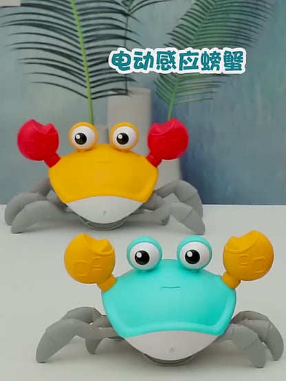 CANGREJO INTERACTIVO